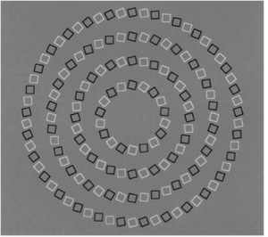 5 Fields optical illusion